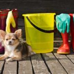 Safe Cleaning Products for Pet Owners: Avoiding Harsh Chemicals